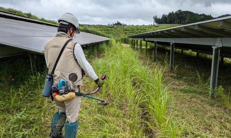 草刈り(機械・人力対応)・除草剤の散布