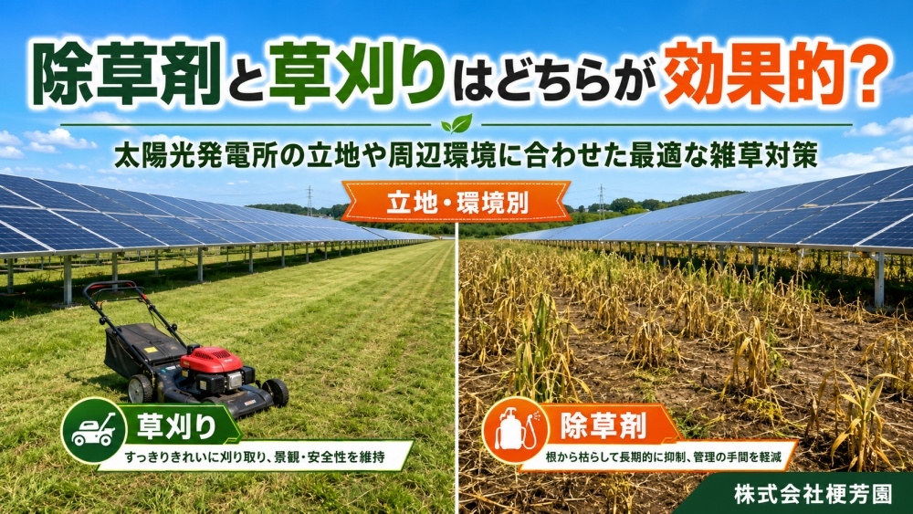 除草剤と草刈りはどちらが効果的?太陽光発電所の立地や周辺環境に合わせた最適な雑草対策